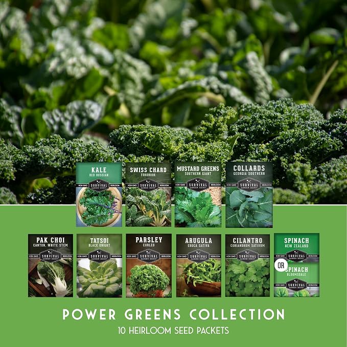10 Power Greens Seed Collection – Heirloom Collards, Mustard, Swiss Chard, Spinach, Kale, Tatsoi, Pak Choi & More for Fall & Spring Planting | Survival Garden Seeds