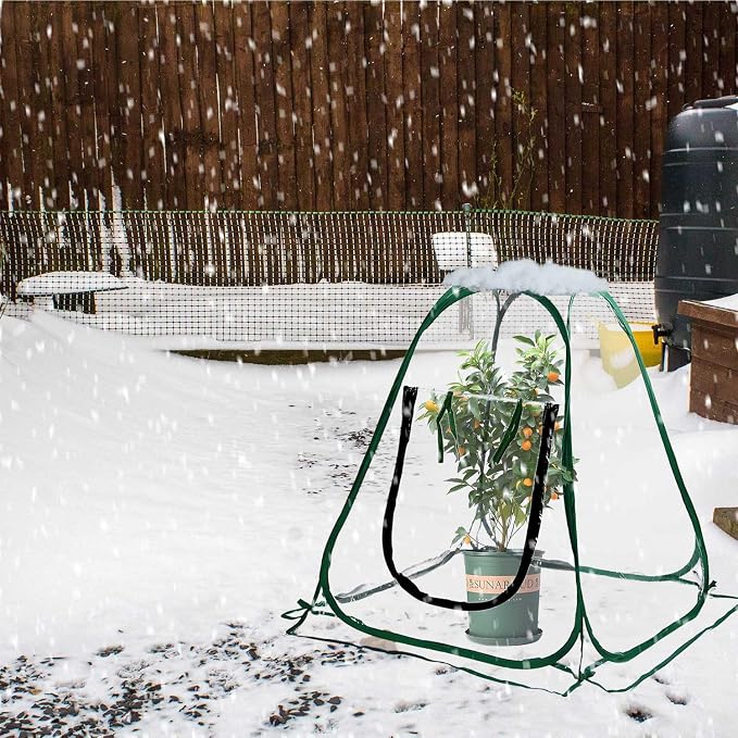 Plant Mini Greenhouse Pop Up Transparent Greenhouse Freeze Protection PVC Plant Cover with Roll-up Zipper Entry Doors for Indoor and Outdoor Gardens Protecting Plant from Cold Frost(PVC, 28x28x32in)