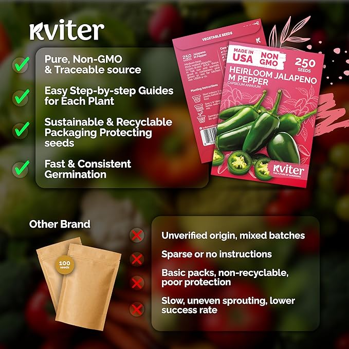 KVITER 250 Jalapeno Peppers M Heirloom Seeds (Capsicum annuum) – Jalepeno Chili Hot Peppers, Mexican Pepper Seed Packets – Vegetable Seeds for Planting Outdoor & Indoor Garden Containers, Raised Beds