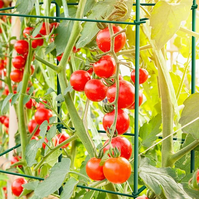 Thealyn Tomato Cages 6 Packs 46 Inches (H) Plant Stand with 164 Feet Twist Ties, Heavy Duty Garden Plants Support for Tomatoes, Cucumber, and Other Climbing Plants (Green)