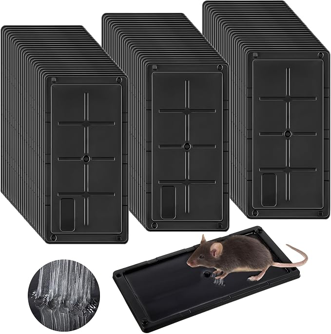 Qualirey 72 Pack Rat Glue Traps 10x5 Inch, Pre-Baited Heavy Duty Mouse Sticky Traps for Mice Snakes Roaches, Large Adhesive Glue Boards with Peanut Scent, No Touch Disposal, Indoor Outdoor (Black)