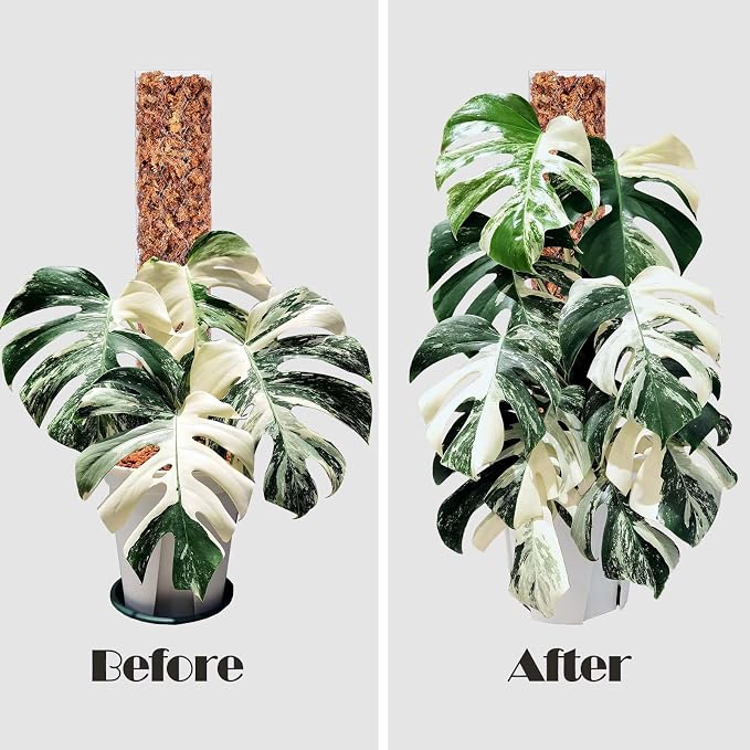 8 Pcs 17 Inch Plastic Moss Pole for Plants Monstera,Designed Specifically for Climbing Plants, Stackable Plant Support for Indoor Plants