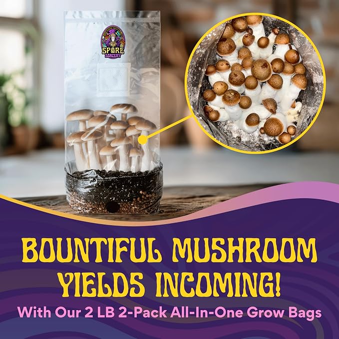 SPORE SORCERY 2 LB 2-Pack All-in-One Grow Bag: Up to 32oz of Mushrooms! Nutrient-Enhanced, Injection Port, Just Add Your Own Spores & Grow Like Magic (2 x 2 LB Bags)