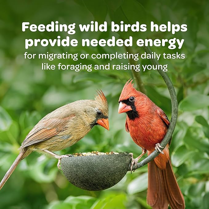 Kaytee All American Wild Bird Food Seed Blend for Cardinals, Blue Jays, Finches & Other Outdoor Wild Birds, 5 Pounds