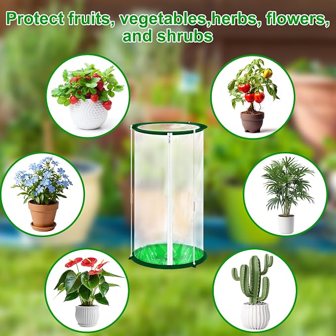 3 Pack Mini Greenhouse Cover, PVC Mini Greenhouse with Nails 22.8×12.6 Inch Portable Plant Flowers Cover for Indoor Outdoor Gardening