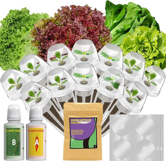 12 pods Red romaine lettuce seed Pods for AeroGarden, Ahopegarden, iDOO, MUFGA - Compatible with All Hydroponic Indoor Garden Growing system refill, 400+ Seeds