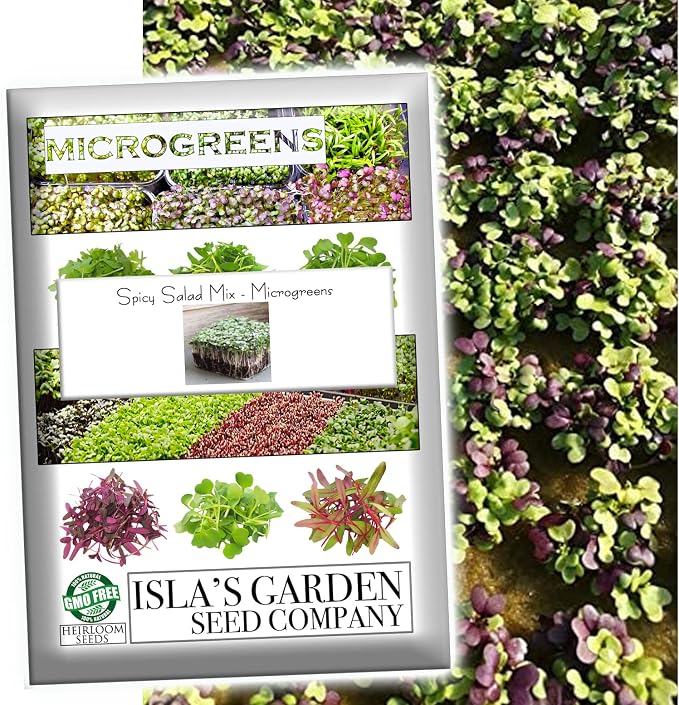 "Spicy Salad Mix" Microgreens Blend of Seeds, 300+ Heirloom Seeds Per Packet, (Isla's Garden Seeds), Non GMO Seeds, Great Indoor/Outdoor Home Garden Gift