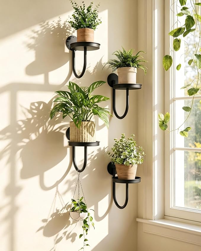 Leaf&lull Wall Planter Hanging Planters for Indoor Plants Plant Hanger Wall Mount Hanging Decor 4 Pack Black