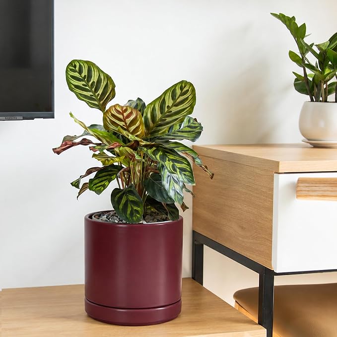 D'vine Dev 8 Inch Ceramic Planter Pot with Drainage Hole and Saucer, Indoor Cylinder Round Planter Pot, Cordovan, 94-O-D-4