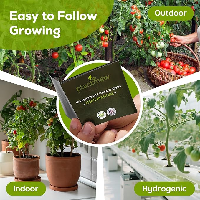 10 Heirloom Tomato Seeds - Open Pollinated Seeds for Planting Home Garden - Beefsteak, Roma, San Marzano, Cherokee Purple, Cherry Tomato & More