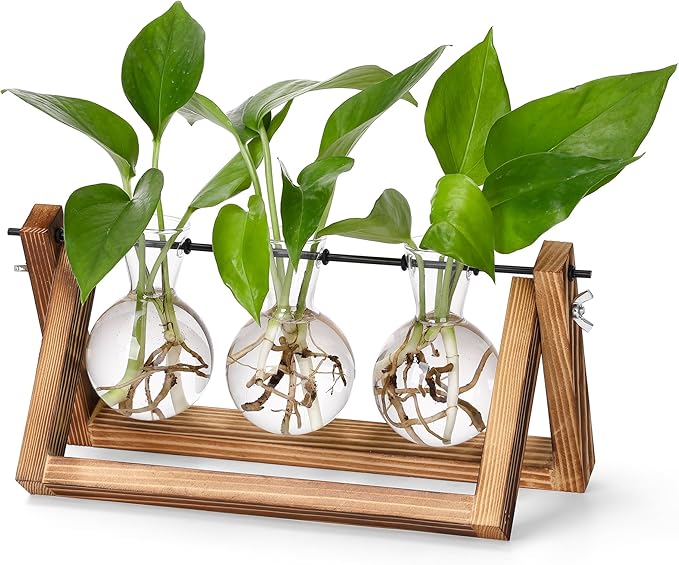 YIBOT Plant Propagation Stations with Wooden Stand & 3 Glass Bulb Vases | Plant Terrarium for Indoor Plants, Home Office Desk Decor, Gardening Gifts for Women Mom, Birthday Gifts for Plants Lovers