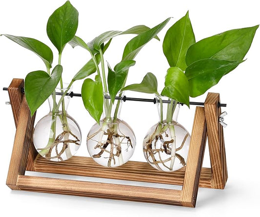 YIBOT Plant Propagation Stations with Wooden Stand & 3 Glass Bulb Vases | Plant Terrarium for Indoor Plants, Home Office Desk Decor, Gardening Gifts for Women Mom, Birthday Gifts for Plants Lovers