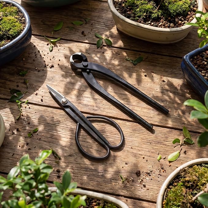 2 Pack Garden Scissors 7.9 Inches (200mm) Stainless Steel Bonsai Pruning Shears 8.2 Inches (210mm) with Comfy Grip Handle Trimming Scissors for Bonsai, Herbs, Flowers, Home