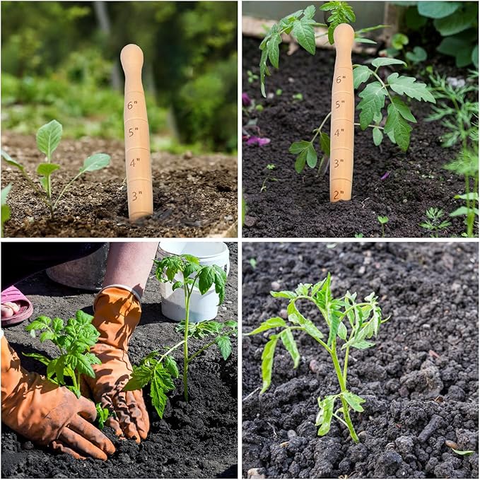 Wooden Seed Dibber with Measurement Scale, 20cm Tapered Gauge Planting Tool for Seedling and Bulb, Easy to Use Handheld Garden Dibber for Seedlings, Style A