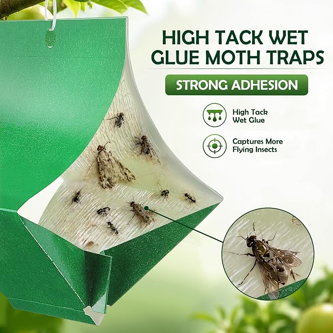 10 Pack Moth Traps (Lure not Included), Codling Moth Traps for Apple Trees, Heavy Duty Sticky Trap Board for Oriental, Peach Tree Borer, Squash Vine Borer,Hanging Codling Moths Trap with 20 Twist Ties