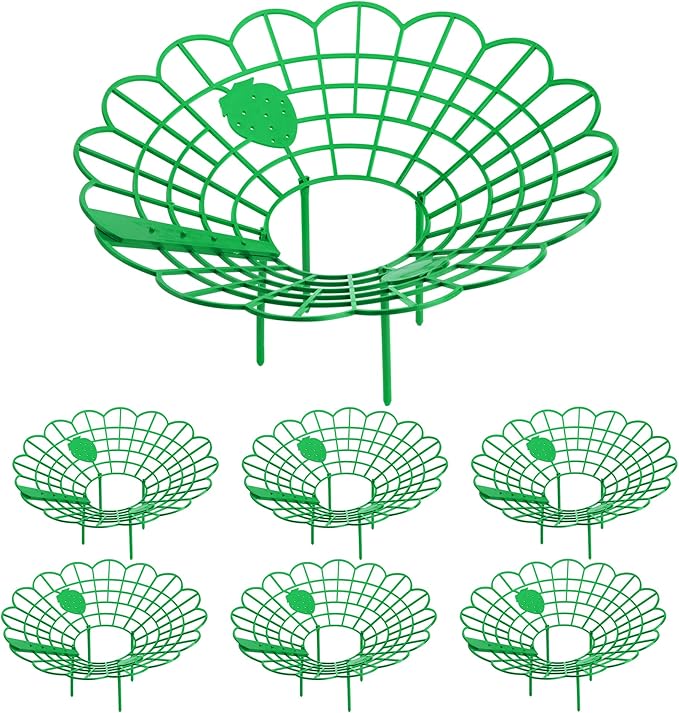 Iceyyyy 6 Pack Strawberry Plant Stand Supports-Strawberry Plant Support Stand Rack with 4 Support Feets-Growing Frame Holder Cage to Keep Berries Clean and Prevent Rot