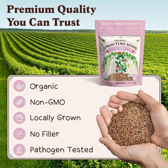 Seedboy Organic Non-GMO Clover Seeds for Sprouting - USA Grown Microgreens Sprouting Seeds - 8 oz Bag Makes 8 Quarts / 32 Servings (Red Clover)