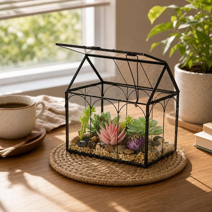 Ferrisland Glass Plant Terrarium Container Wardian Case Indoor Small Succulent Terrarium Planter W/Door for Tabletop Decor DIY (6" L x 4.3" W x 6.3" H)