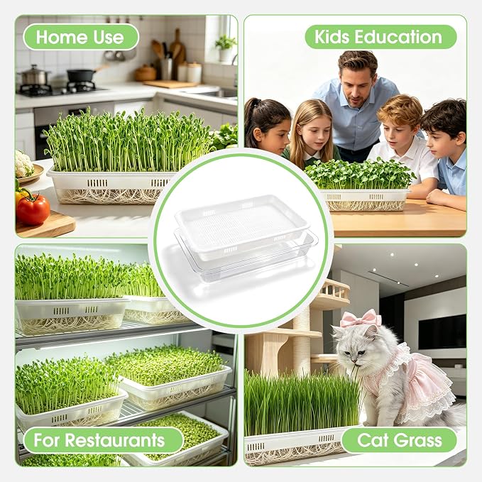 3 Pack Hard Acrylic Microgreens Growing Trays, Visual Soilless Sprouting Kit with Silicone Mats & Spray Bottle, Seed Germination Tray for Wheatgrass, Cat Grass & Vegetables