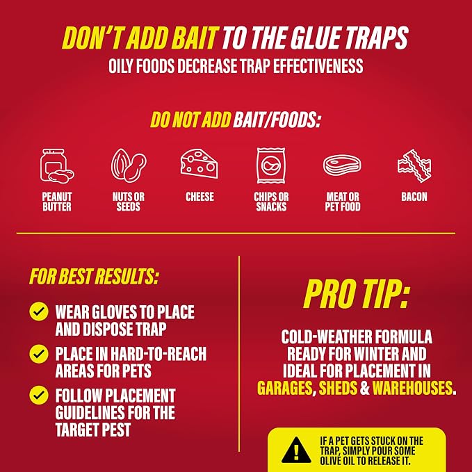 Catchmaster-6 Freeze Resistant Mouse & Insect Glue Traps, Indoor for Home, Pest Control Adhesive Tray, Catch Bugs, Crickets, Spiders, Rats, Pet Safe Glue Boards for Cold Weather, House, Shed & Garage