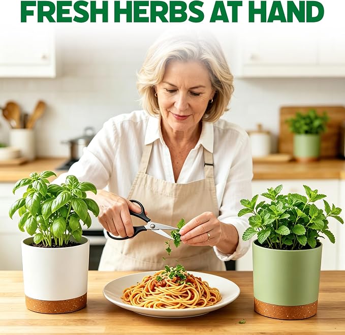 8 Herb Garden Kit - Indoor Herbs Seeds Growing Kit Gardening Gift Birthday Housewarming Christmas Gift for Women Her Men Retirement, Complete Starter Set with Organic Seeds for Beginner