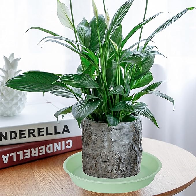 2 Pack of 10 inch Plant Saucer Gray, Heavy Duty Plastic Plant Saucer 10 inch Round, Durable Plant Tray for Pots, Plant Saucers for Indoors, Plant Trays for Planter 9"/10" (10", Light Green)