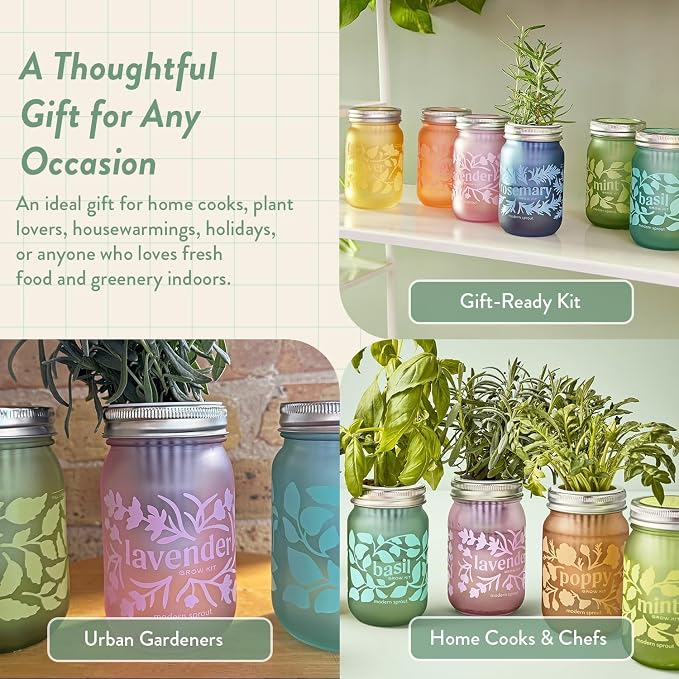 Modern Sprout Mason Garden Jar - Self-Watering Hydroponics Growing System Kit with Organic Herb Seeds - Jar Planter for Indoor Herb Garden - Seed Starter Kit -Home Decor & Gifting -Mint+Rosemary+Poppy