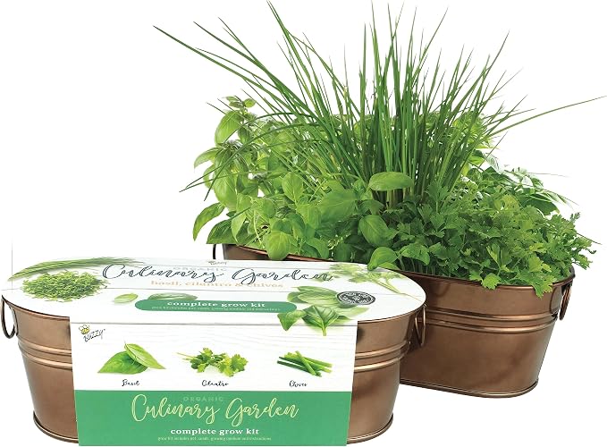 Buzzy Seeds Organic Windowsill Herb Kit - Metal Windowsill Planter - Complete Indoor Gardening Kit with Seeds, Coconut Husk Growing Medium & Genuine Pots - 100% Grow Guarantee