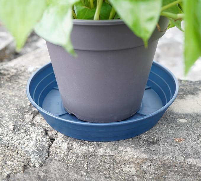 Plant Saucer 6 Inch 4 Pack 6 8 10 12 14 16 18 20 25, Plastic Plant Trays for Pots，Extra-Deep Plant Water Dray Tray, Bird Bath Bowl, Heavy Flower Plant saucers Indoors and Outdoor No Holes 6in-4 blue