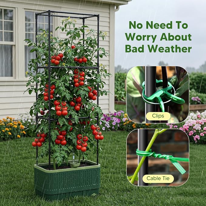 Raised Garden Bed with Tomato Cages，52"/4.3ft Tomato Planter with Trellis,Adjustable Height,Self Watering Planter Box for Vegetables & Climbing Plant Indoor Outdoor Balcony Patio (2)