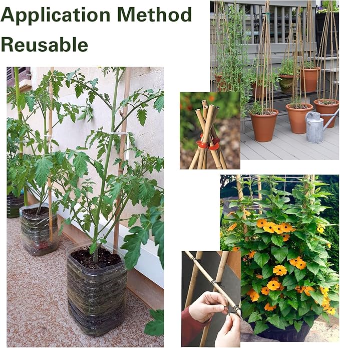 20pcs Bamboo Stakes 6 Feet, 6FT Garden Stakes Multi-Purpose, 5/8" Dia Plant Stakes for Tomatoes, Beans, Cucumbers, Peppers, Potted Trees, Maintain the Plant Posture, Strengthen and Stem