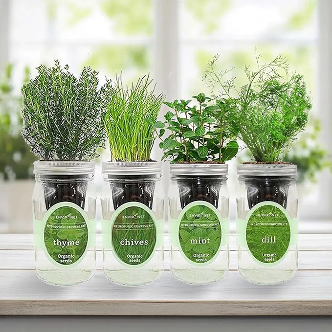 Mint, Chives, Thyme & Dill Mason Jar Herb Garden Kit, Fresh Savory Herb Collection, 4 Pack Indoor Hydroponic Growing Kit