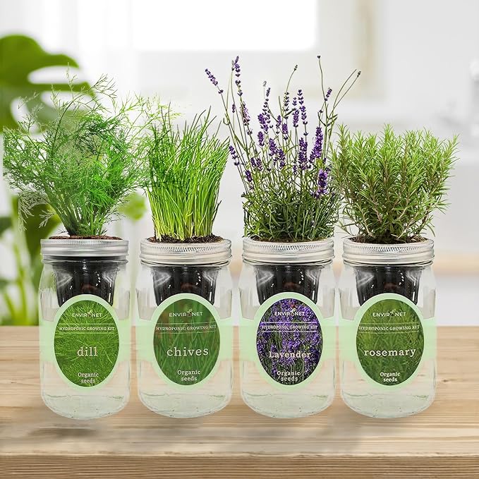 Rosemary, Lavender, Dill & Chives Mason Jar Herb Garden Kit, Aromatic Savory Herb Collection, 4 Pack Indoor Hydroponic Growing Kit