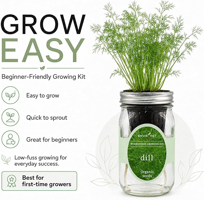 Hydroponic Herb Growing Kit, Self-Watering Mason Jar Herb Garden Starter Kit Indoor, Windowsill Herbs Garden, New Christmas Grden Gift for Mom (Dill)