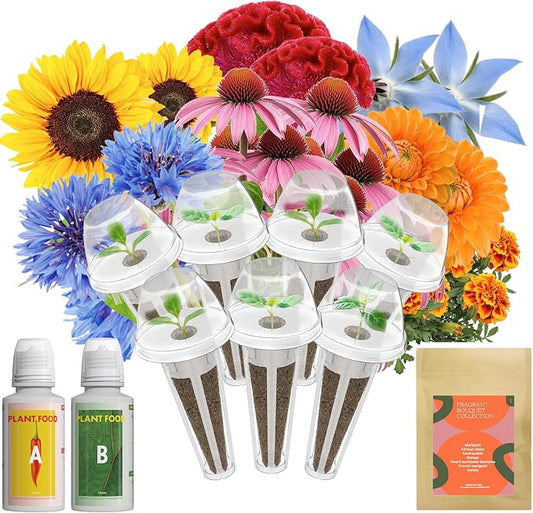 Inbloom Fragrant Bouquet Flower 7 Pods Seed Pod Kit for AeroGarden, iDoo, Ahopegarden, GARDENCUBE(350+ Flower Seeds with Marigold, Daisy, Cockscomb, Borage, Dwarf Sunflower Bambino, Marigold, Dahlia)