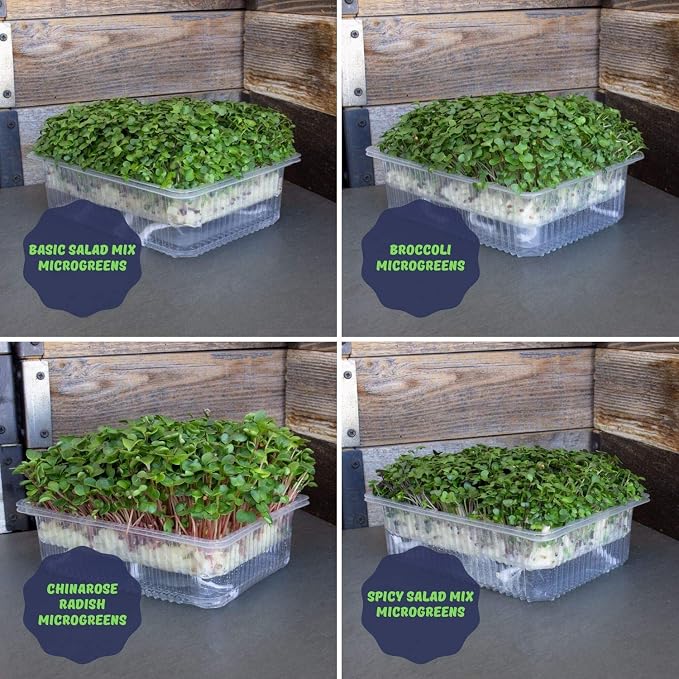 Self-Watering Indoor Microgreens Kit – Soil and Hydroponic Combo Pack – Complete Growing Set for Vegetable and Herb Microgreens – Includes Broccoli, Radish, Chard, Cilantro Seeds, and More