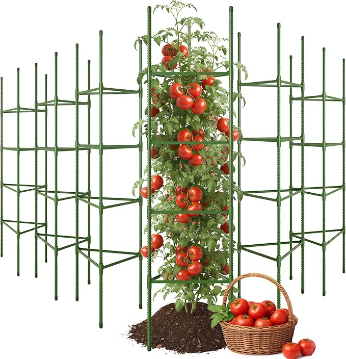 CEWOR Tomato Cage - 6 Pack Tomato Trellis, 63 Inch Extra Tall Tomato Cages for Garden, Garden Stakes Triangle Plant Stake Structures for Climbing Plants Outdoor, Pots, Raised Garden Bed, Vegetables