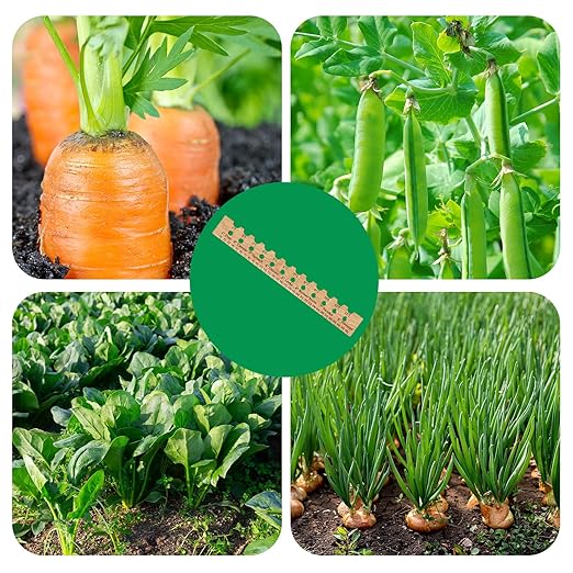 Spacer Tool Seeder Planting Ruler - Seeding Spacing Ruler with Precise Measurements,Seedlings Dibber Hand Transplanting Tools,for Vegetable Gardens, Yard
