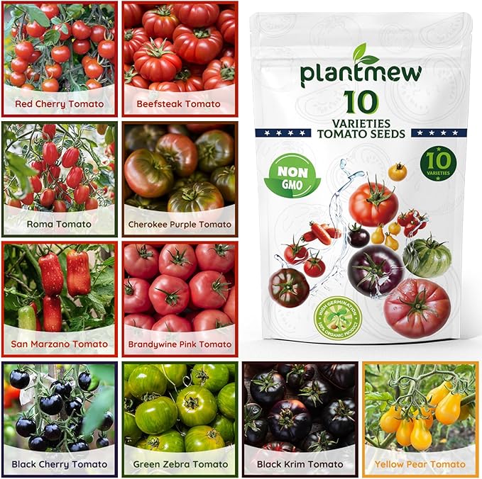 10 Heirloom Tomato Seed Varieties Packet - Open Pollinated Seeds for Planting Home Garden - Beefsteak, Roma, San Marzano, Cherokee Purple, Cherry Tomato & More