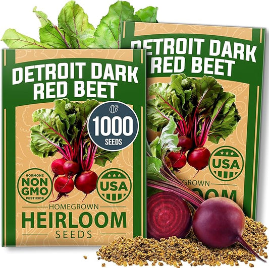 HOME GROWN Detroit Dark Red Beet Seeds 1000+ Heirloom Non-GMO Seeds for Planting, High Germination, Sweet Root Vegetable, Edible Greens, Canning, Pickling, Winter Storage (Beta vulgaris)
