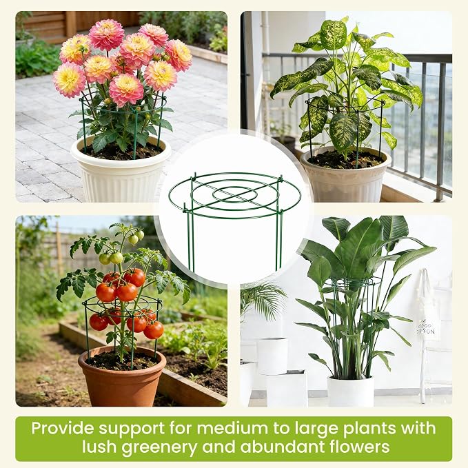 6 Pack Peony Cages and Supports, 12" x 24" Tall Peonies Support Cage | Heavy Duty Metal Peony Stakes and Supports for Rose Hydrangea Flower Plant