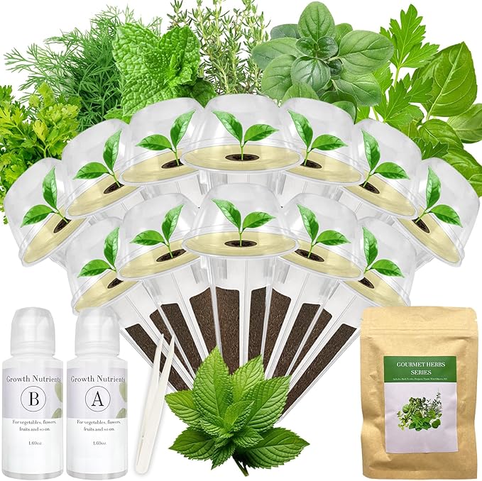 Gourmet Herbs Seed Pod Kit for AeroGarden, iDoo, Ahopegarden, MUFGA with Basil, Parsley, Thyme, Mint, Cilantro, Dill, Oregano(12-Pod)