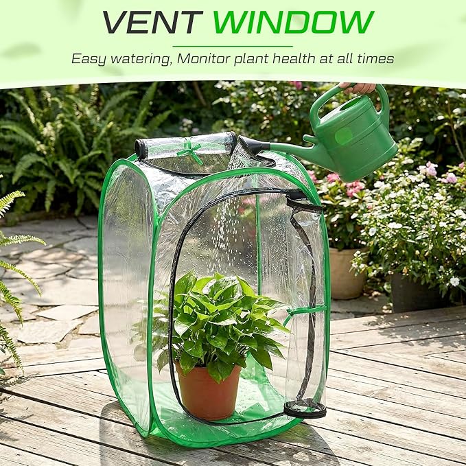 2 Pack Pop up Plant Greenhouse Cover Foldable Mini Clear Greenhouse 15.7" x 15.7" x 23.6" PVC Small Portable Plants Cover Accelerator for Indoor Outdoor Vegetable Fruit Garden Protecting