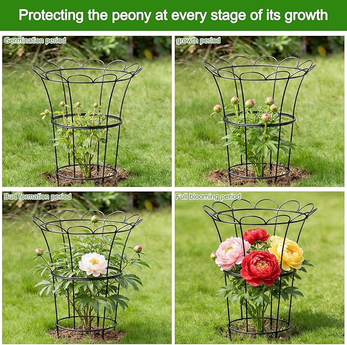 Heavy Duty Peony Cage and Supports - 26" Cast Iron Plant Support for Outdoor Plants, Perfect for Roses and Climbing Vines, Durable Rust-Resistant Design, Quick Assembly Flower Ring Stakes