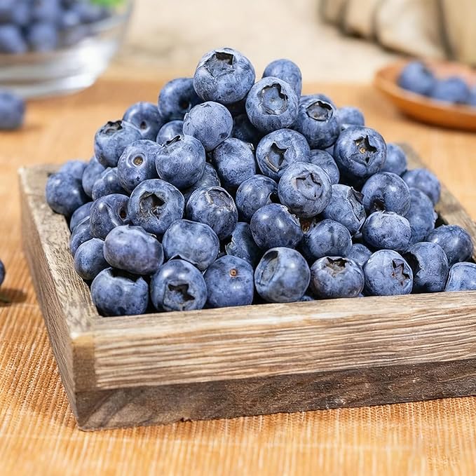 1500+ Fruit Tree Seeds Mixed for Planting, 6 Varieties, 400 Strawberry 200 Blueberry 300 Raspberry 300 Mulberry 200 Cranberry 20 Cherry, Non-GMO Heirloom Seed for Garden Outdoor