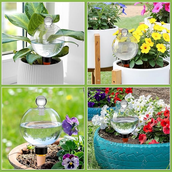 DI QIU REN 19oz Extra Large Self Watering Globes, Automatic Plant Waterer with Glass Stopper - Slow Release Watering Bulbs & Planter Insert, Top-Fill Water Spikes Stakes for Indoor Plants (4, Clear)