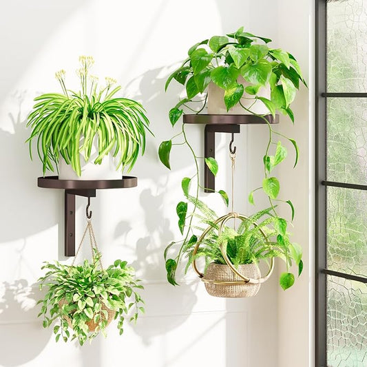 iDavosic.ly Wall Plant Holder Set of 2 for Indoor Outdoor, Metal Hanger with 2 Hooks, Floating Flower Display Stand for Window, Space Saving & Easy to Assemble (Pots/Plants Not Included), Bronze