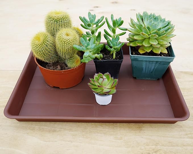 VUWEZ 2 Pack Rectangular Plant Saucer, Heavy Sturdy Seed Starting Nursery Trays for Indoors No Holes, Growing Starter Tray (17.5"x10.6", Chocolate)