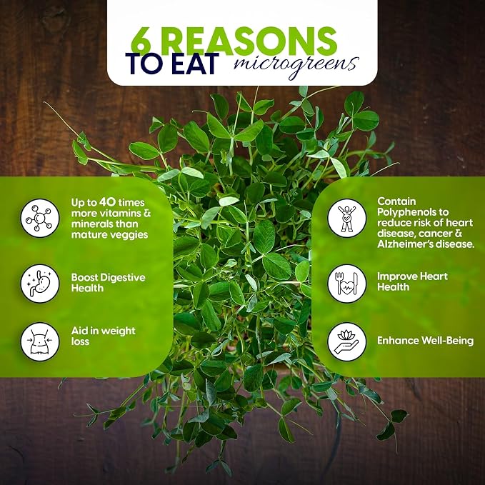 ZESTIGREENS Microgreens Growing Kit, 6-Grow Variety Pack with Most Popular & Colorful Microgreens Varieties