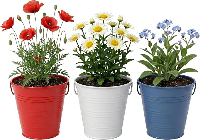 Buzzy Seeds Americana Grow Kit 3-Pack - Metal Windowsill Planter - Complete Indoor/Outdoor Gardening Kit with Seeds, Coconut Husk Growing Medium & Genuine Pots - 100% Grow Guarantee